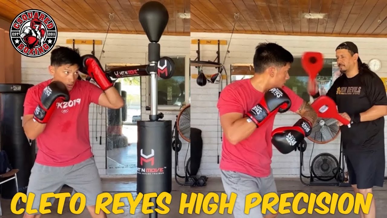 HIT N MOVE TRAINING\ MITT WORK- Cleto Reyes High Precision Boxing Gloves
