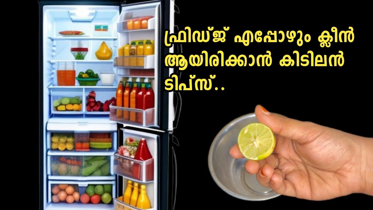 ഫ്രിഡ്ജ് എപ്പോഴും ക്ലീൻ ആയിരിക്കാൻ കിടിലൻ ടിപ്സ് |Fridge cleaning tips |Fridge Organization