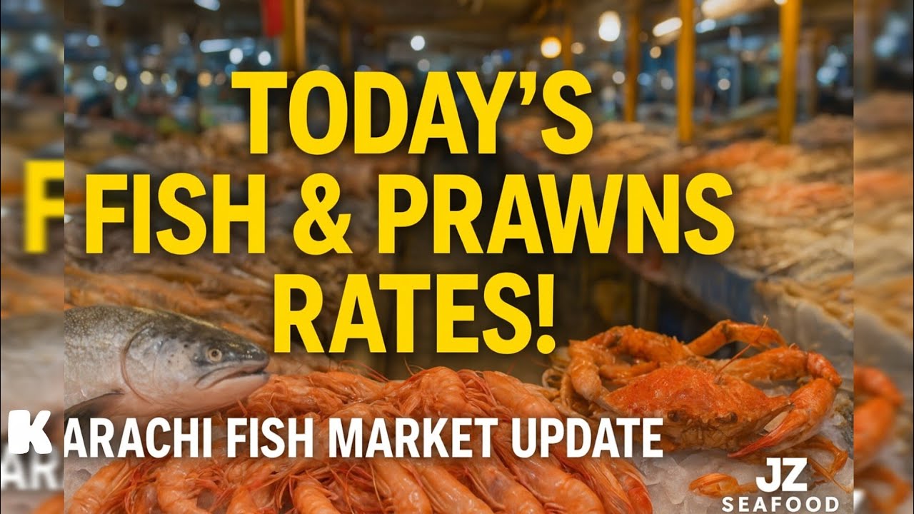 &ldquo;Today Karachi Fish Market Rates | Fresh Fish & Prawns Price Update | Karachi Fish Harbour 2025&rdquo;