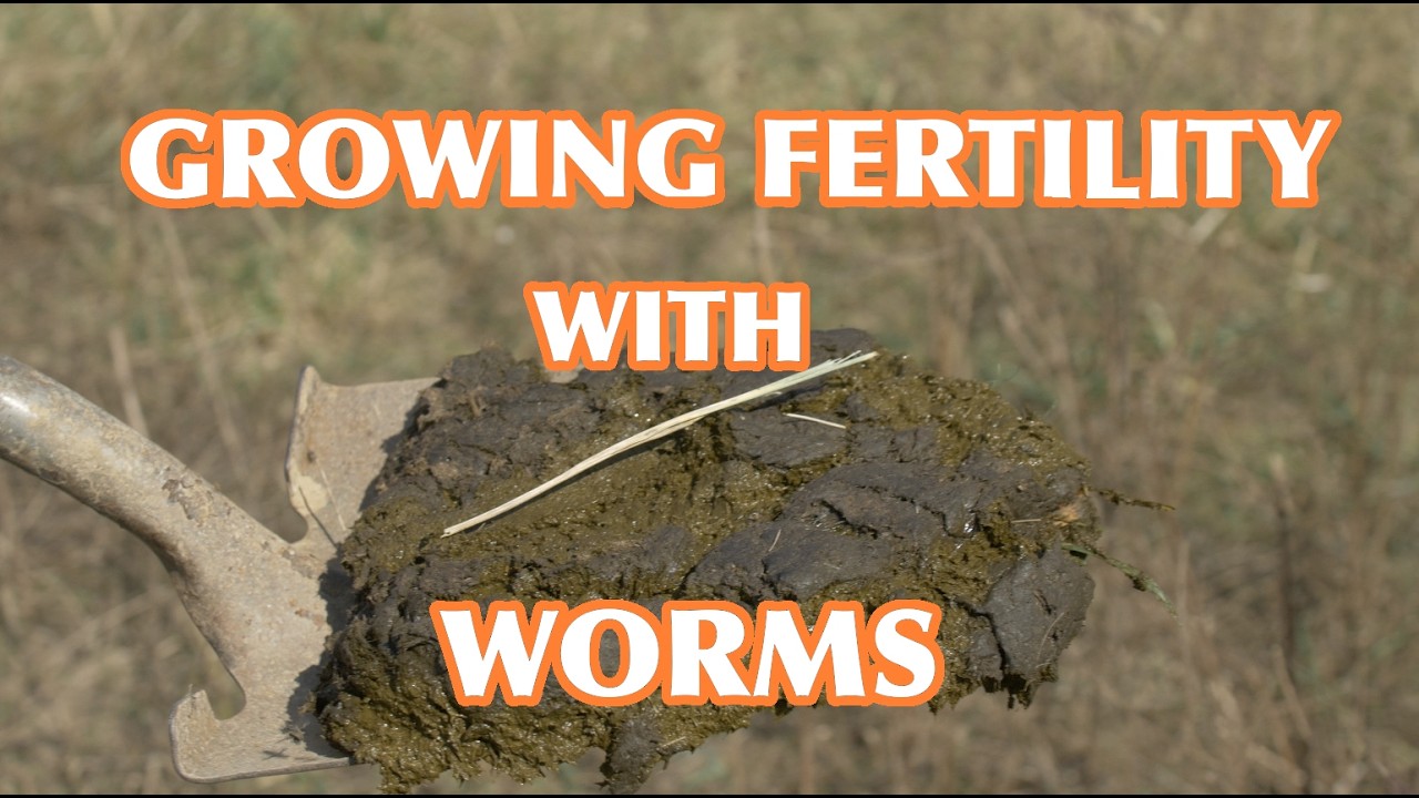 Simple Method For Transforming Waste Hay Into The Perfect Compost