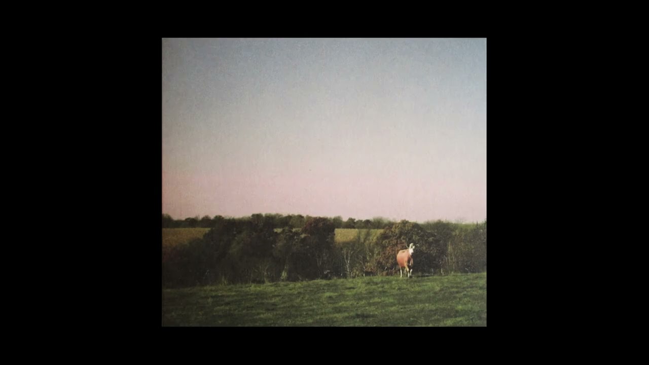 Idiot Wind: Idiot Wind EP