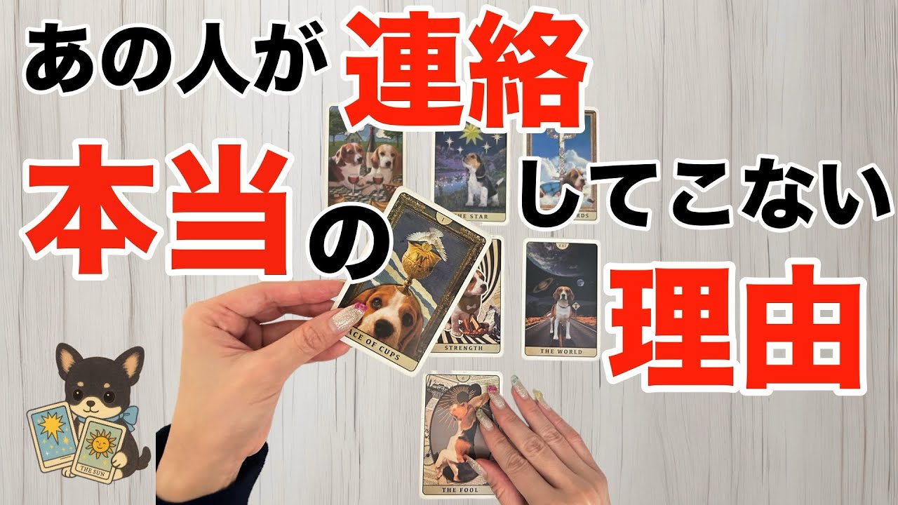 【怖いけど知りたい‼️🙈】あの人が連絡しない本当の理由🍀