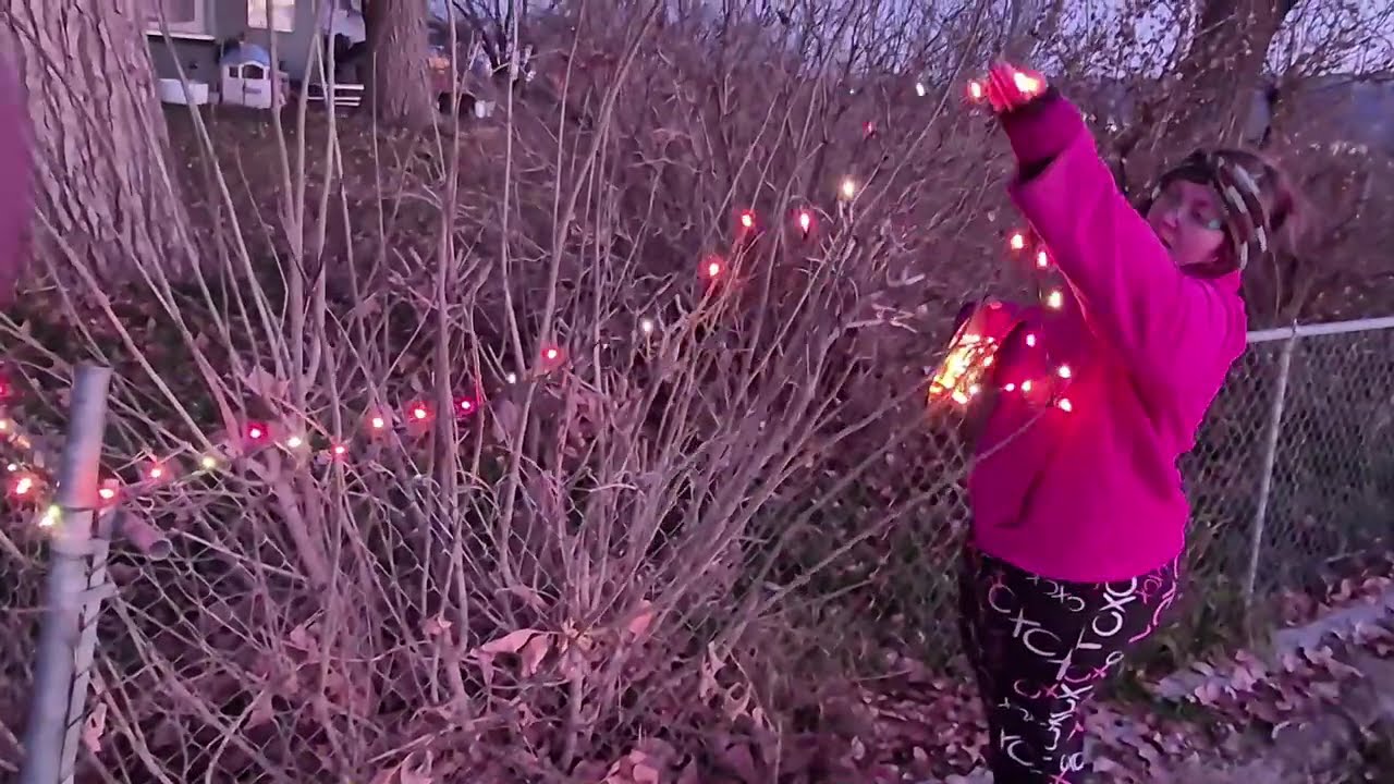Putting up Christmas lights and 30ft Christmas tree