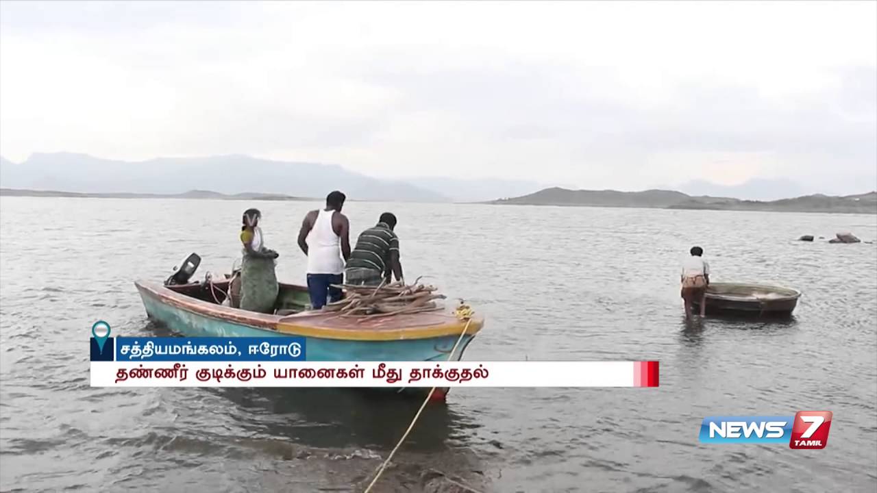 Crocodiles scares fishermen at Sathyamangalam Bhavanisagar dam | News7 Tamil