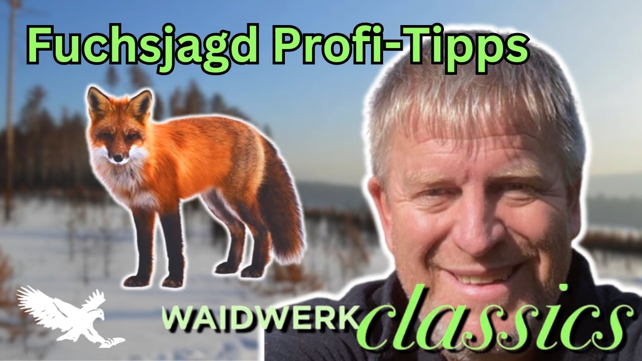 Fuchsjagd mit Profi Elmar Eickkhoff: Methoden, Tipps & Vorteile für Jäger