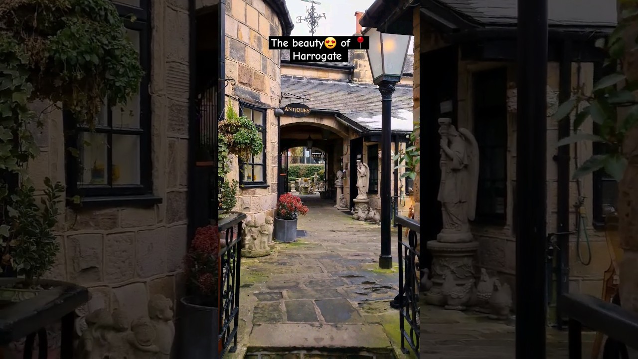 The beauty 😍 of 📍Harrogate  #harrogate #travel #yorkshire #visityorkshire #shorts #harrogatetown