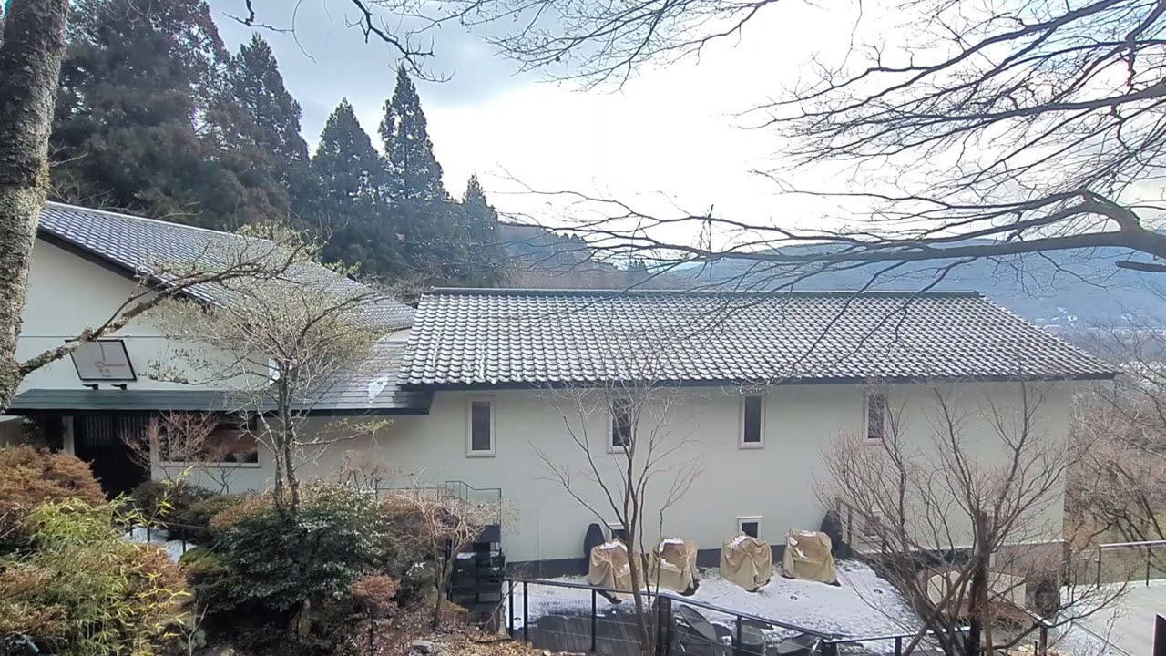 箱根　旅館　蔵樹　箱根神社の神域　通勤中に聞くだけで1日が幸せに満ちる　2026/02/12　箱根蔵樹から風景と自然のBGM