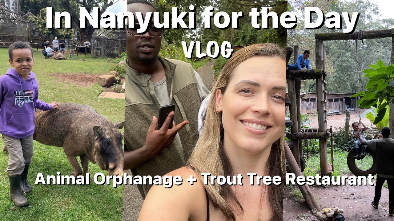 Семейная жизнь | Меру ➡️ Нанюки | Приют для животных | Ресторан Trout Tree | Кения | Видеоблог
