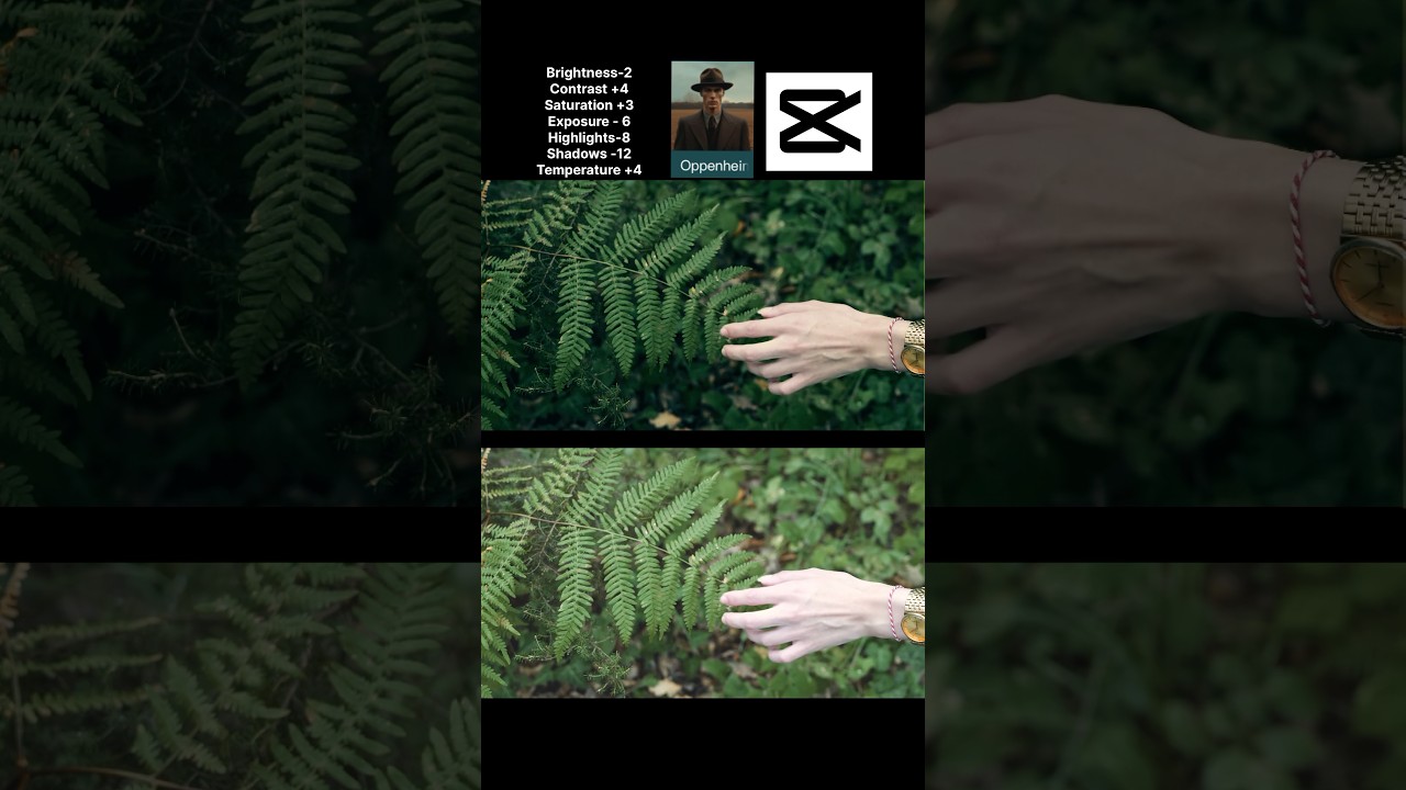 Capcut cinematic color grading tutorial| how to edit nature video in cinematic tone 