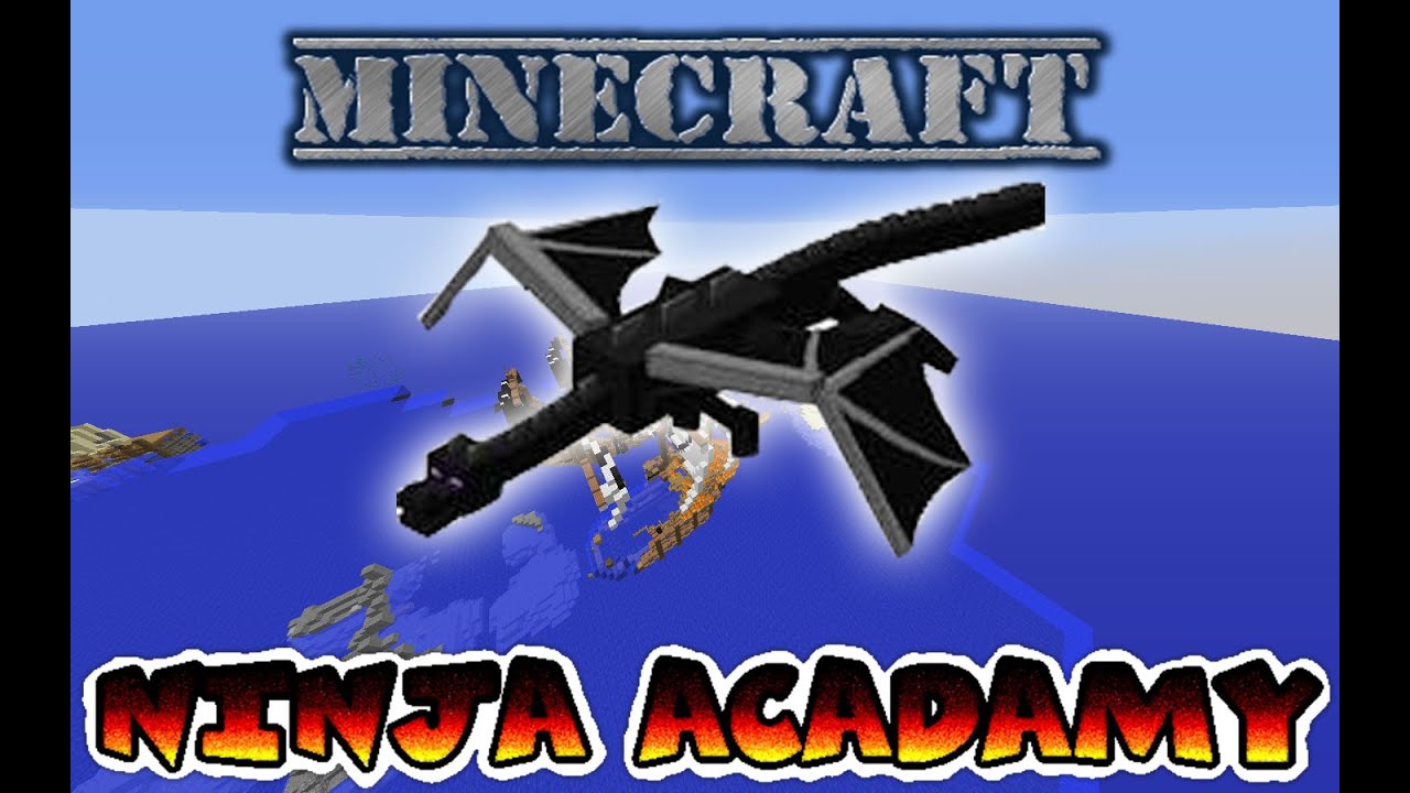 NINJA ACADAMY-AGILITY with ICee50