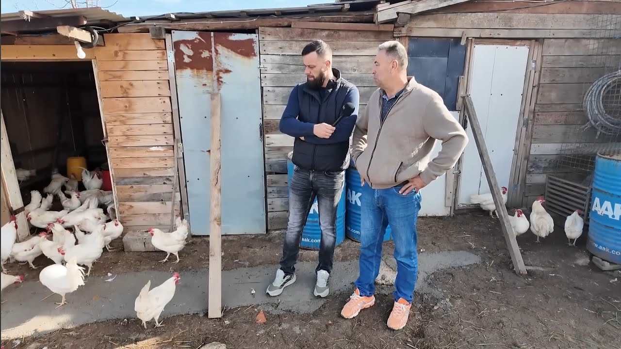 Jaja idu k'o halva. Ne može stići podmiriti tržište! 