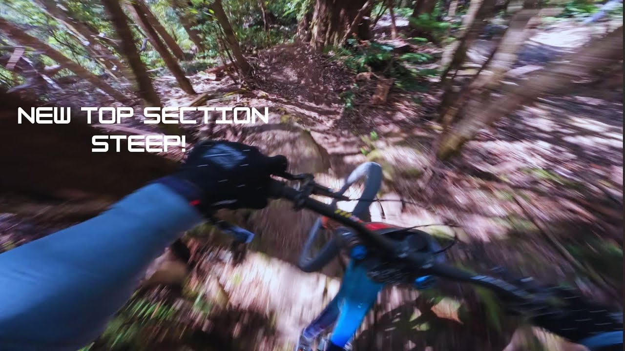 Maxxis Maydena DH cup quail lap! 🥇