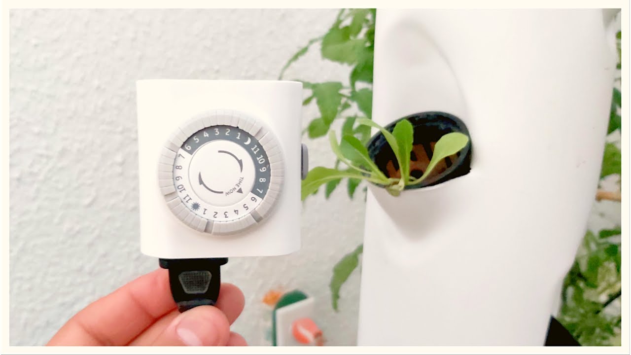 Automatiza tu sistema hidropónico de manera sencilla