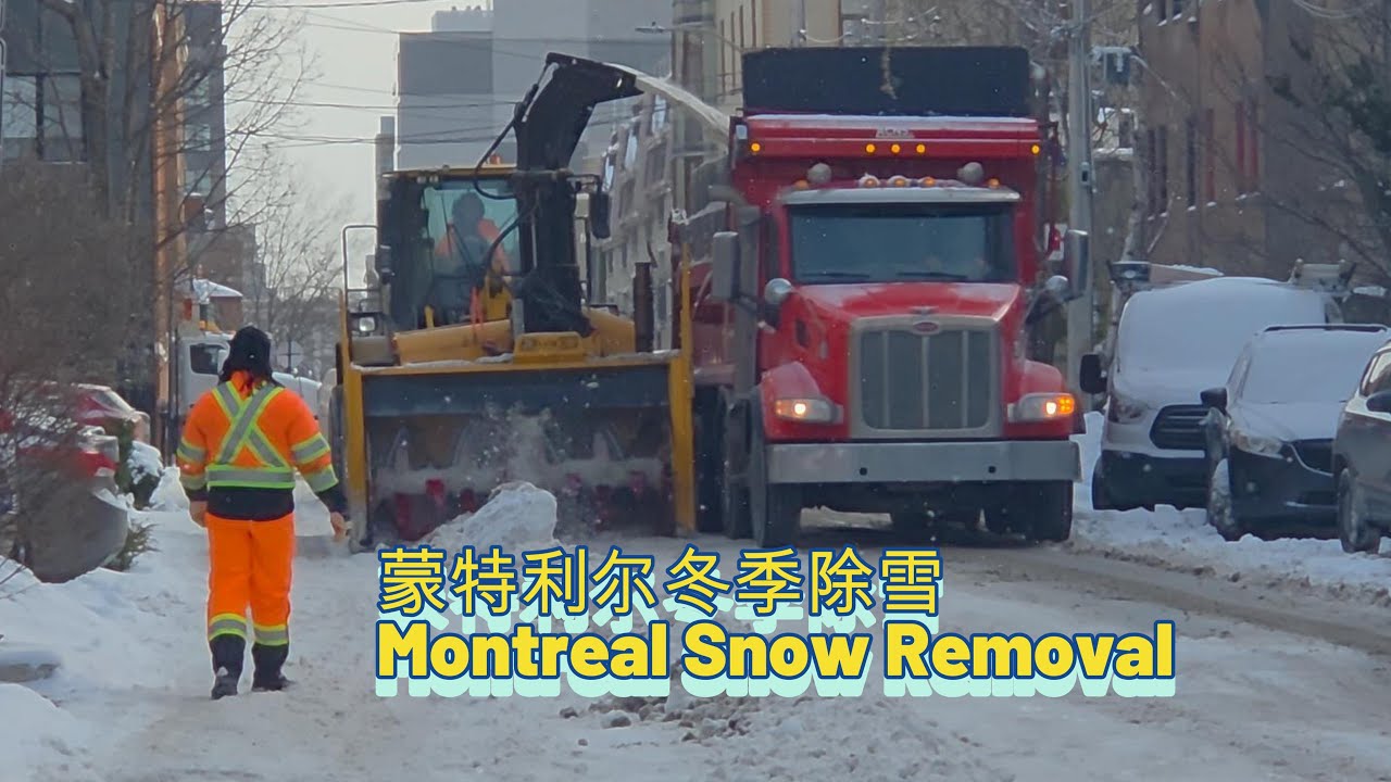 Montreal Snow Removal Winter 加拿大 蒙特利尔 冬 除雪