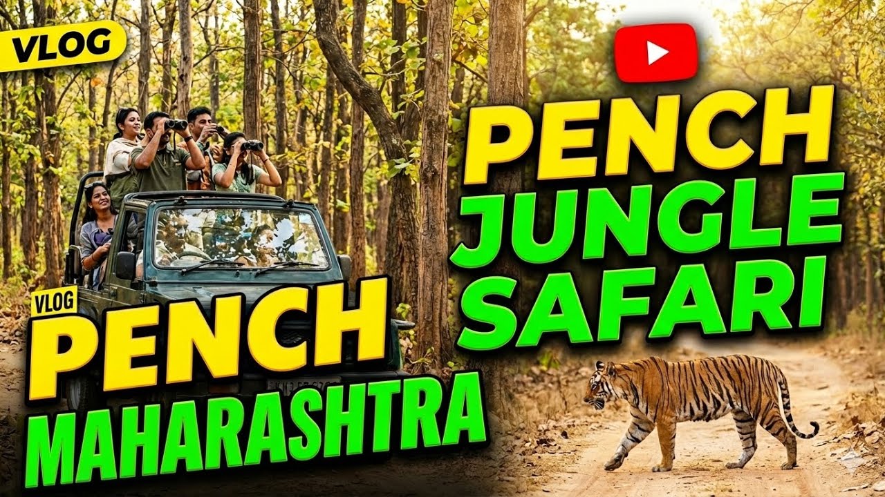 Tiger Spotted | Pench Forest | New Year 2026 | Jungle Safari | Rishi Raj Jaiswal | Vlog 33
