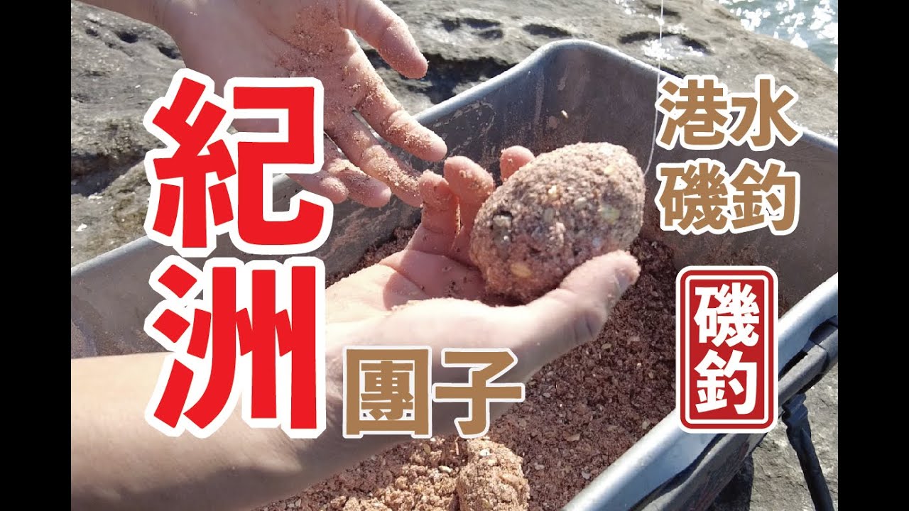 【 香港磯釣 】今次去西水，初嘗紀洲團子釣法，開粉及釣組入門講解 #釣魚#香港磯釣#外礁磯釣#小魚放生#自己垃圾自己帶走#記得洗地#磯釣新手