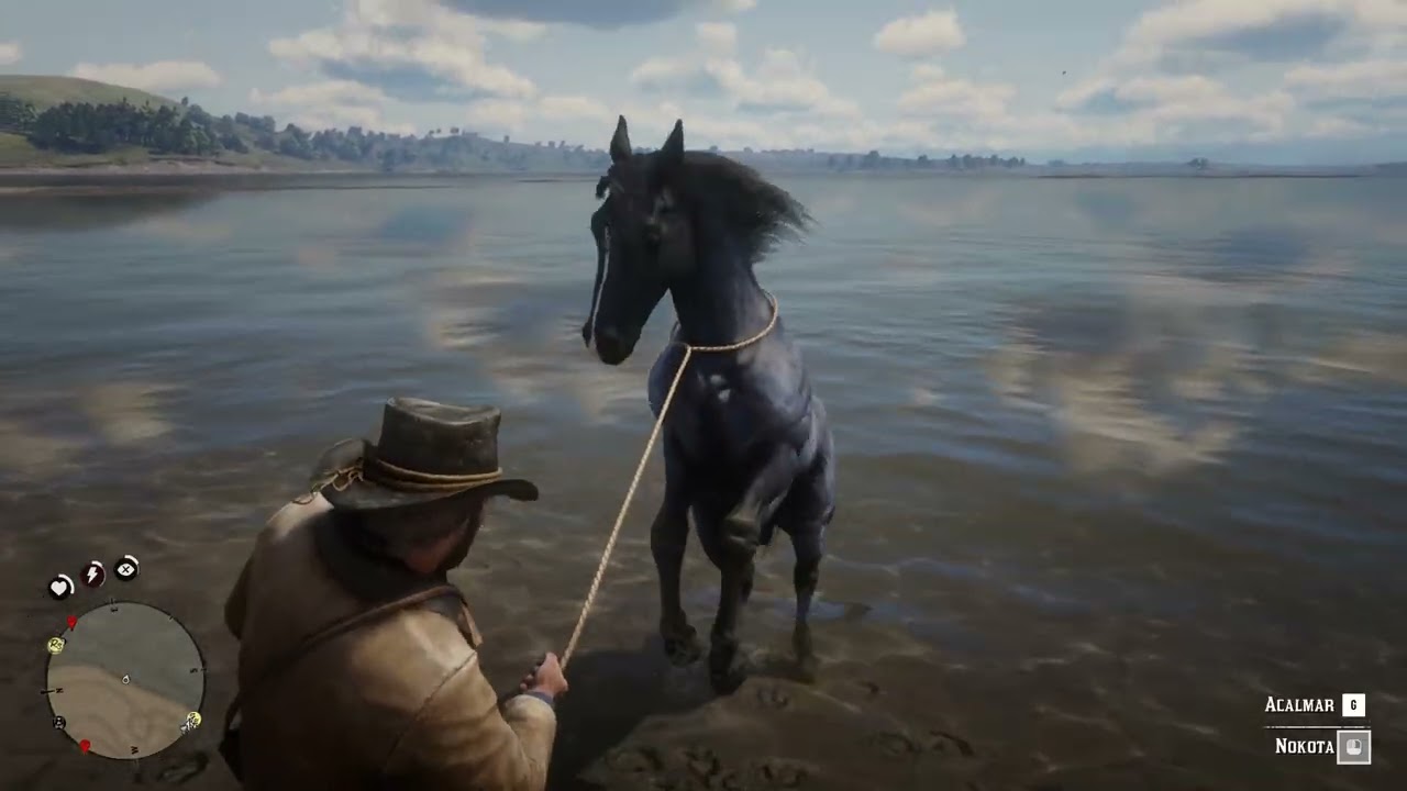 Red Dead Redemption 2 -  Domando Nokota Ruano Azulado