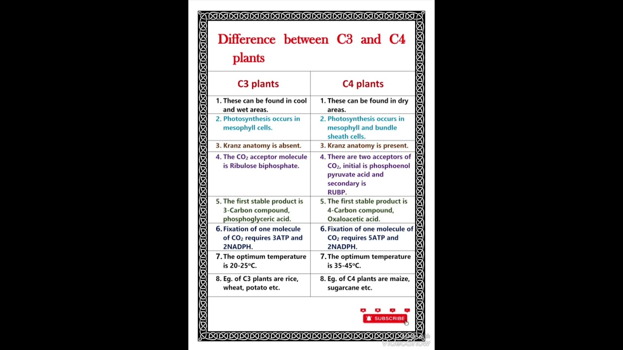 Difference between C3 and C4 plants