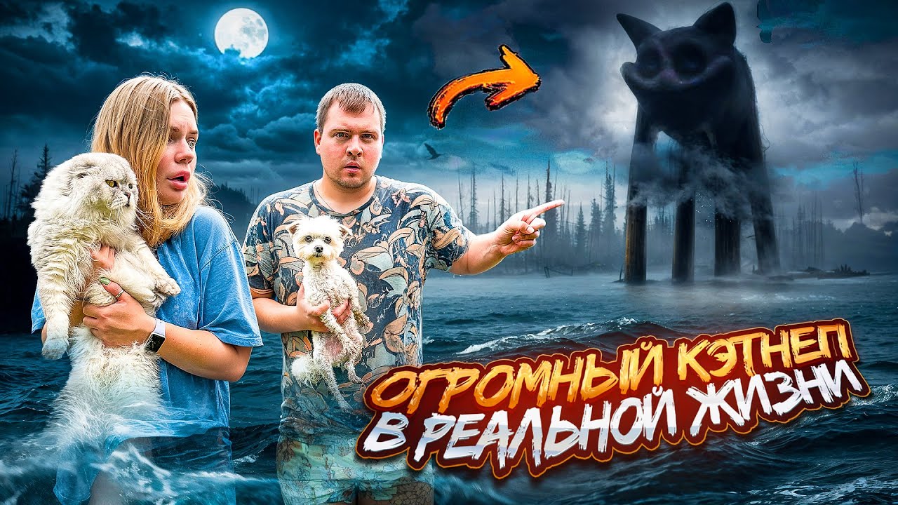 CATNAP В РЕАЛЬНОЙ ЖИЗНИ | 24 ЧАСА НА ОЗЕРЕ ГИГАНТСКОГО ДРЕМОТА С КОТАМИ