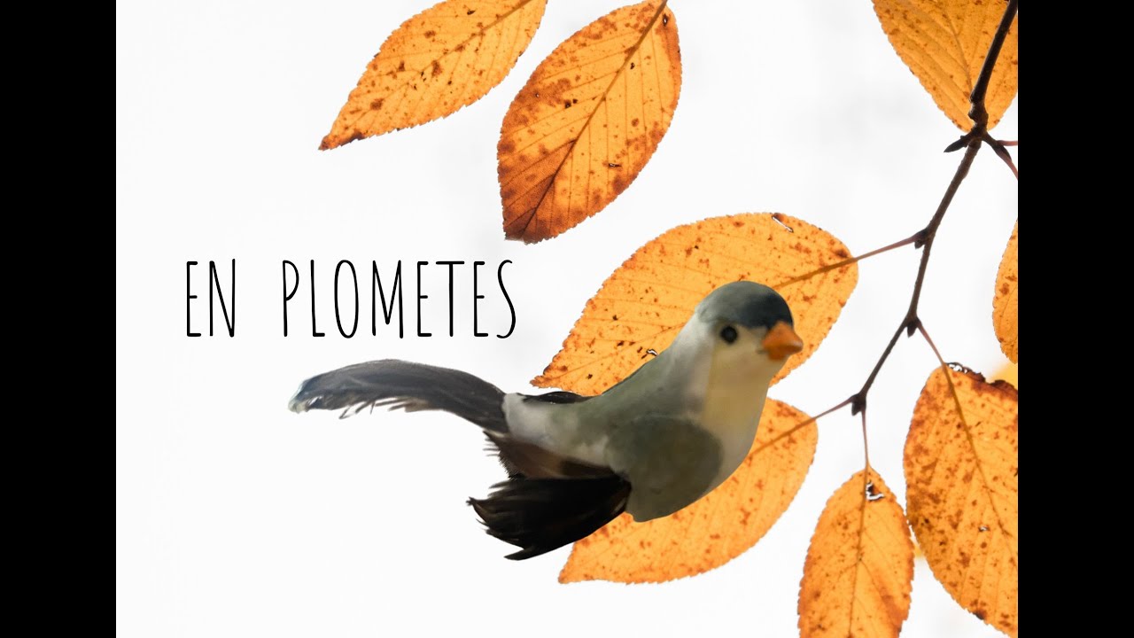 EN PLOMETES