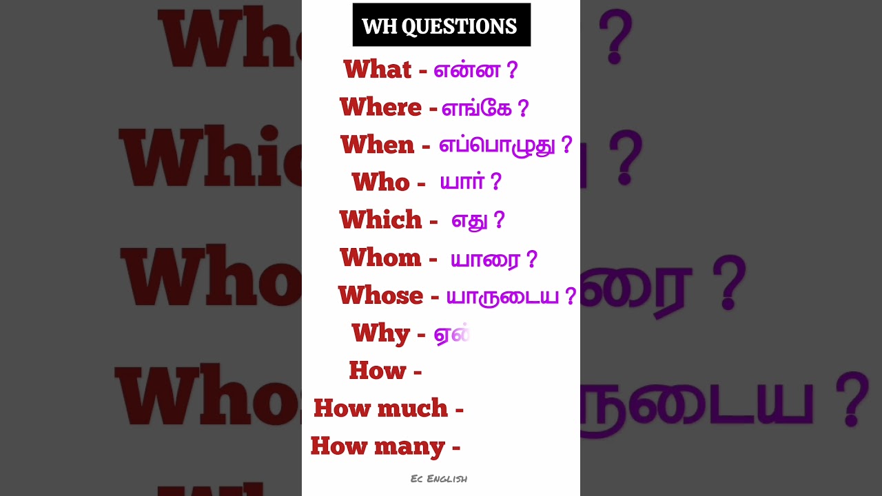 Wh questions | Important english words | Spoken English in tamil | English grammar | #spokenenglish