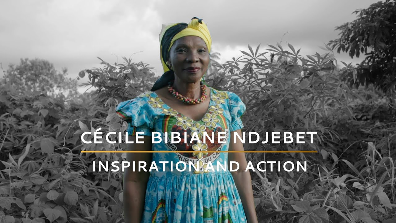 Securing land rights for women in Africa supports reforestation efforts