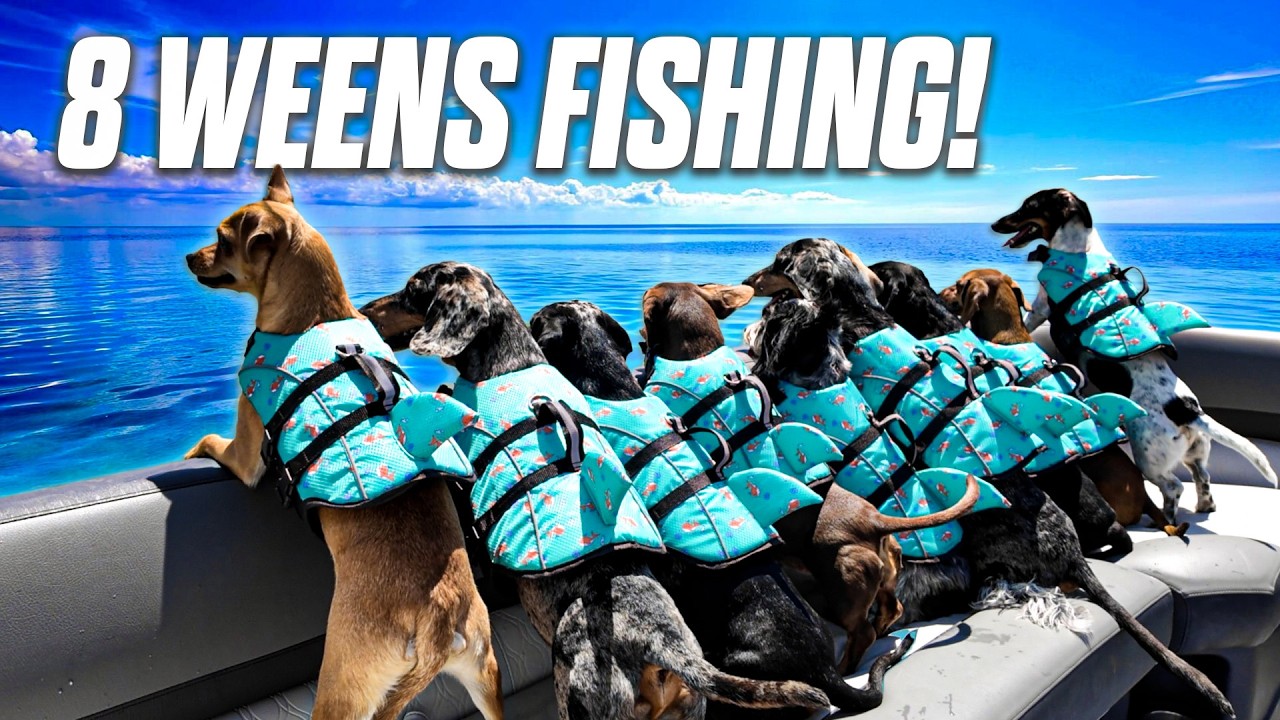 I WENT FISHING WITH MY 8 WEENS!