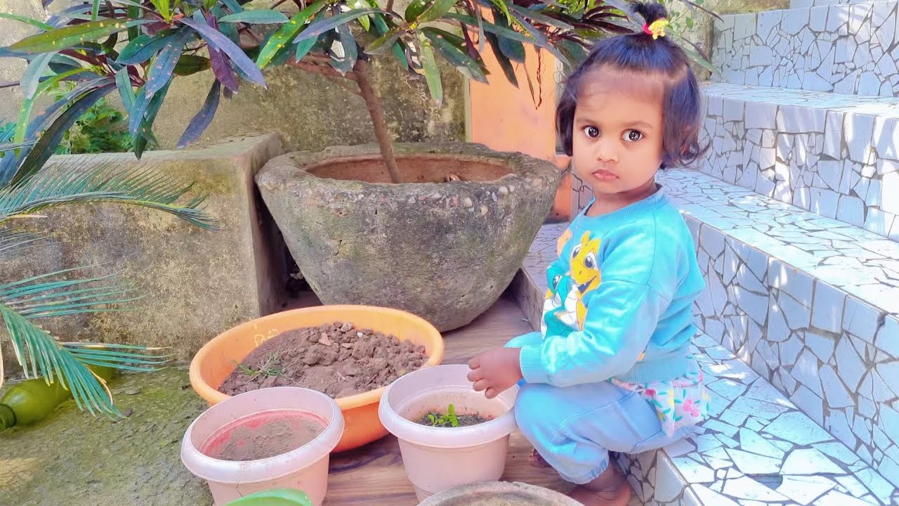आज प्रिशा फूलों का पौधा लगा रही है 🌱🌸#Prisha#PhoolKaPaudha#ChotiMali#NatureLove#PlantingTime