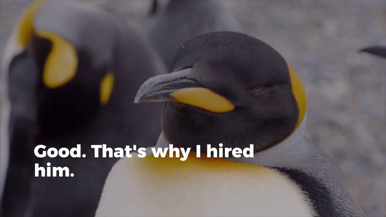 Appreciating Diversity in Teams