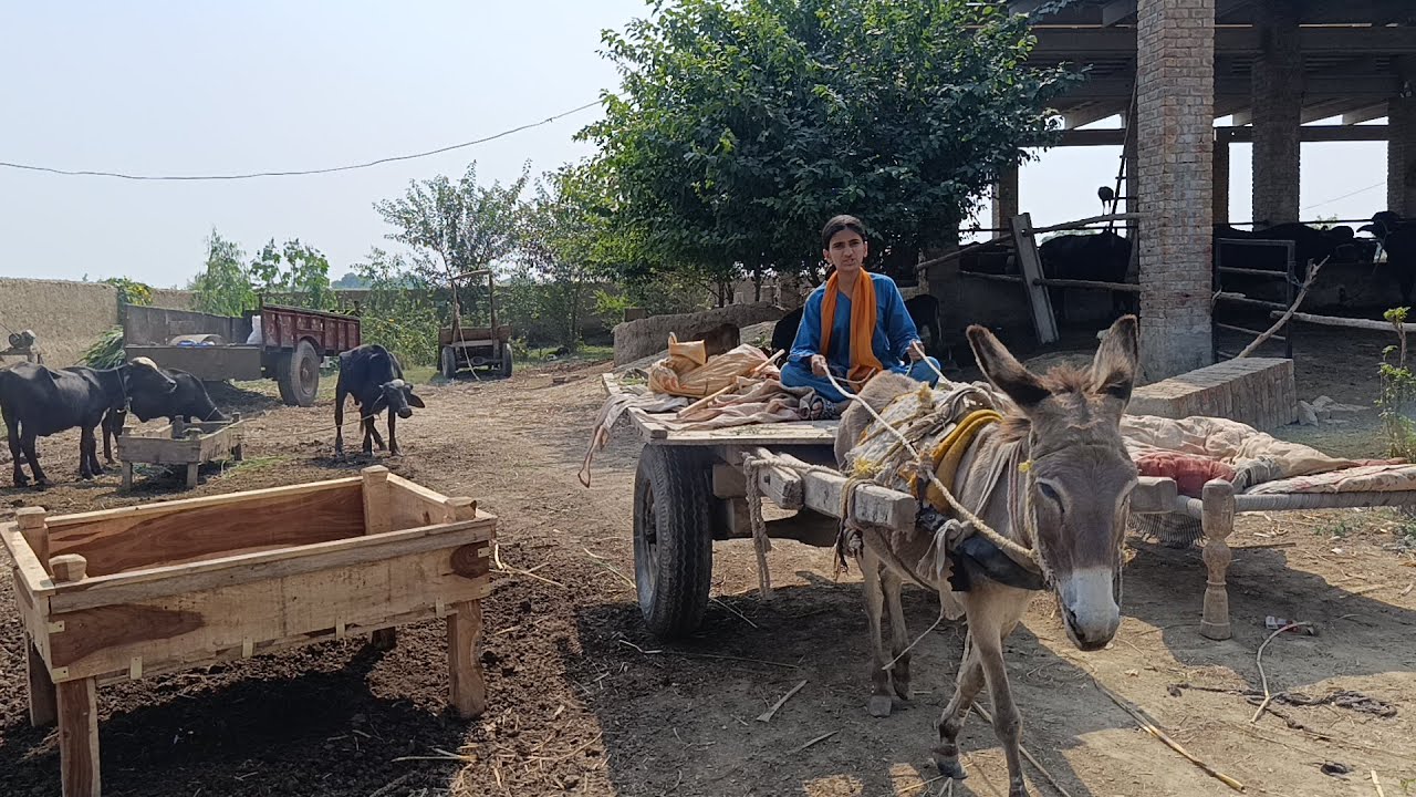 LONG DONEKY CART RIDING | DONKEY CART PAR CHARA LAAYE | #vlog #donkeycart #donkeyraja