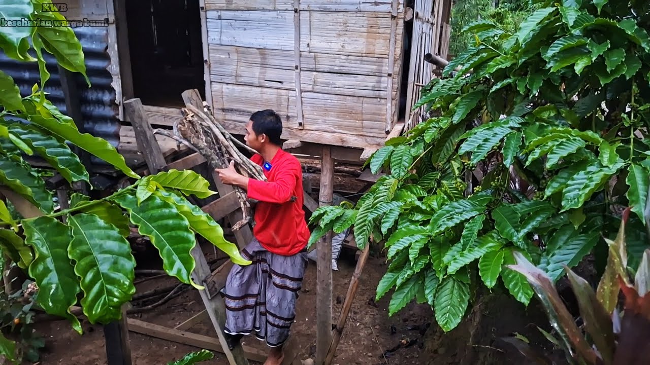 Setiap Hari Diguyur Hujan, Kedamaian Hidup Dikebun