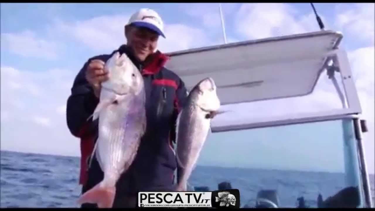 TRAINA al DENTICE (completo): TRUCCHI e SEGRETI PESCA da BARCA con canne e mulinelli | Marco VOLPI