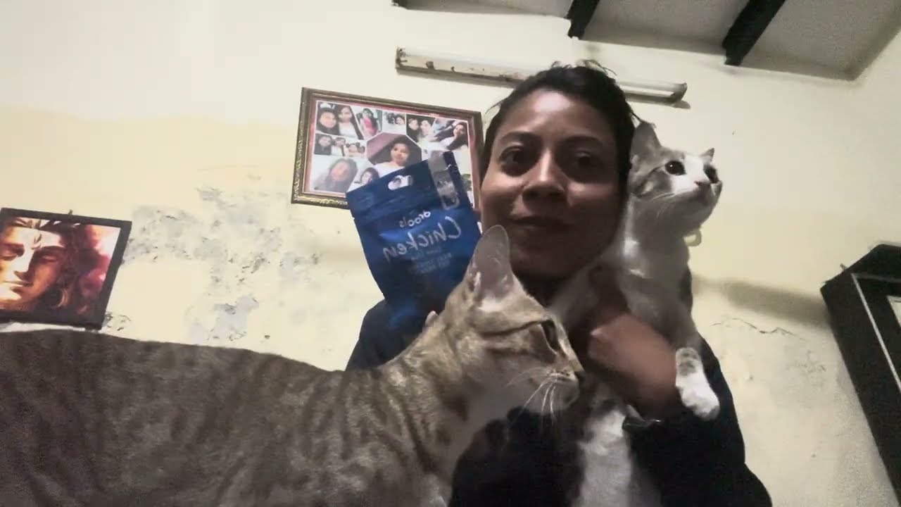   bacho ke liye mangaya बहुत sara treat 💕💕💕