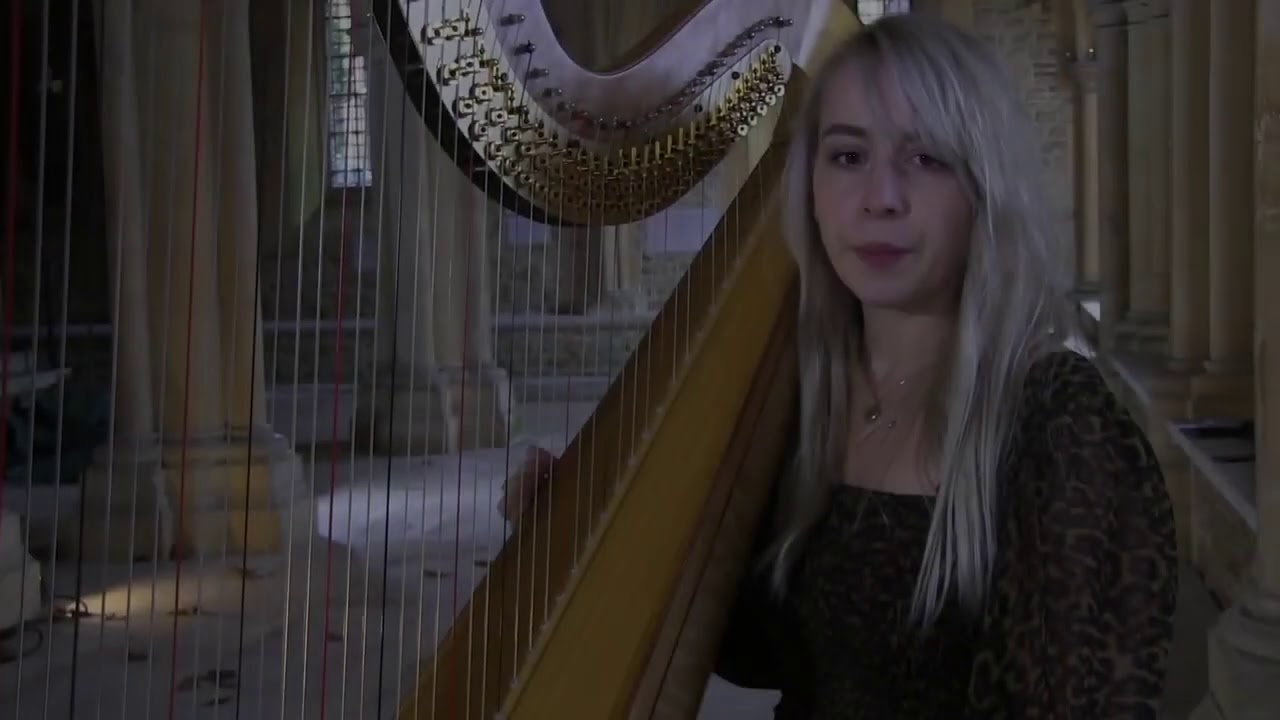 Conjuring sounds from thin air…Stranger Strings | Charlie Draper & Holly Lowe | TEDxNaperville