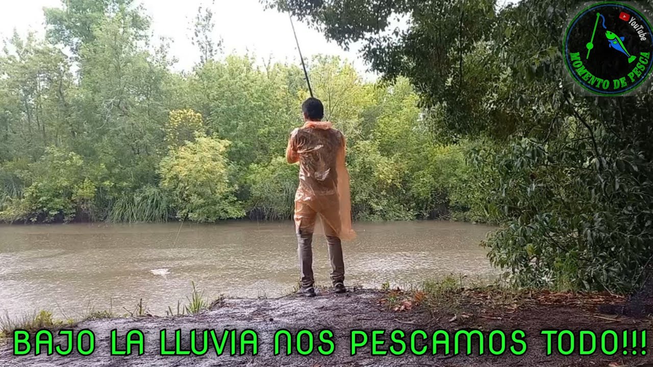MUCHA PESCA BAJO LA LLUVIA - CAMPING 