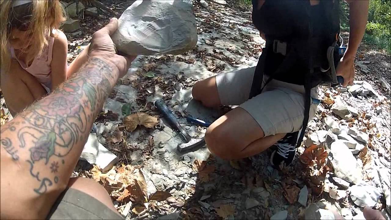 AWESOME Trilobite Hunt 8/11/2012