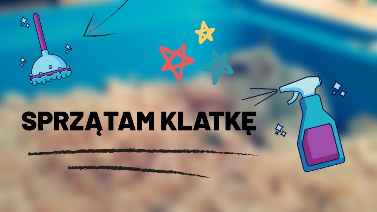 SPRZĄTANIE KLATKI CHOMIKA