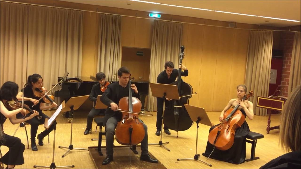 Poyraz Baltacıgil: C.P. Emanuel Bach Cello Concerto in A Major