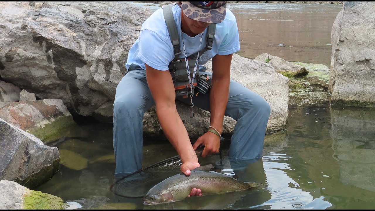 Three Weeks of Fly Fishing and Camping in Wyoming, Tetons, and Montana (Monster Trout)