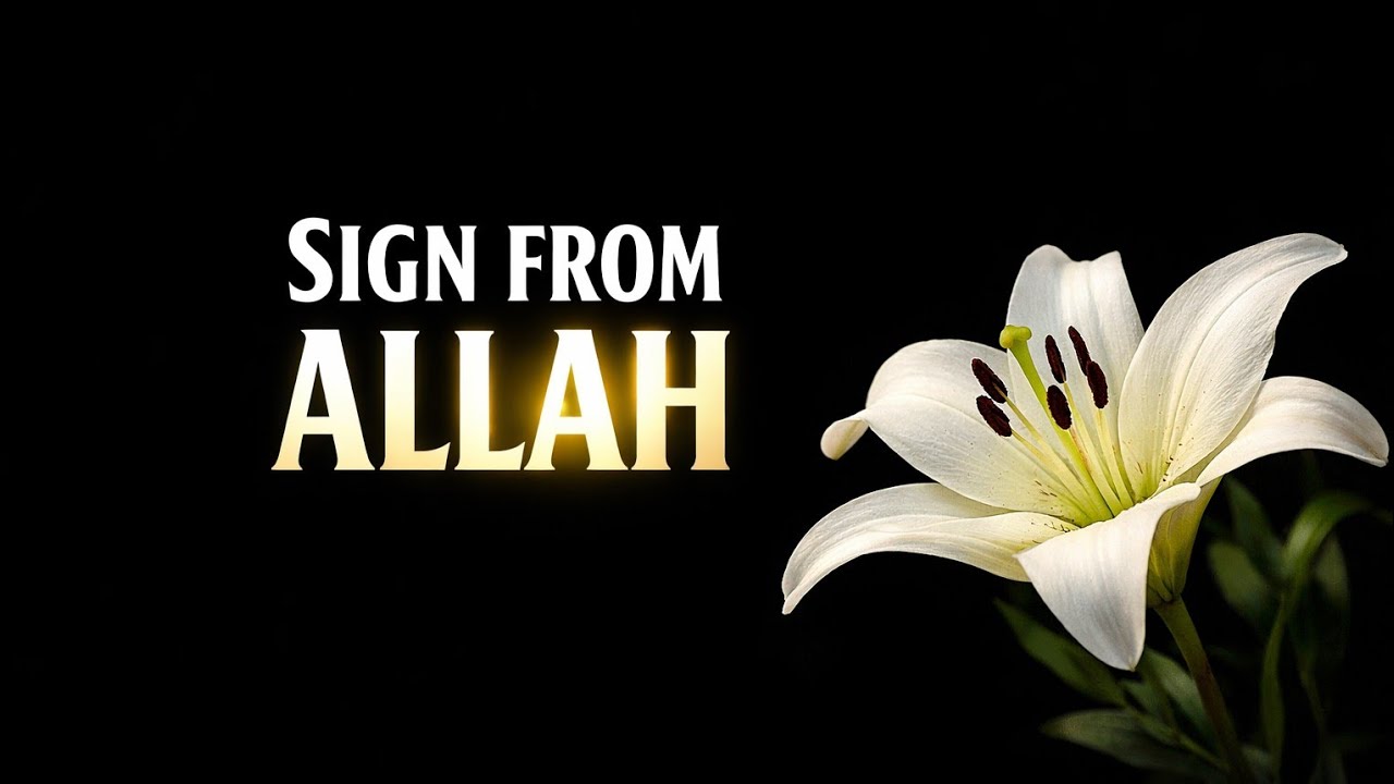 THIS MIGHT BE YOUR SIGN FROM ALLAH | Ramadan Reset – Day 3