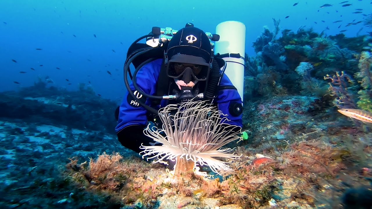 La Montagna - Scilla Diving Center