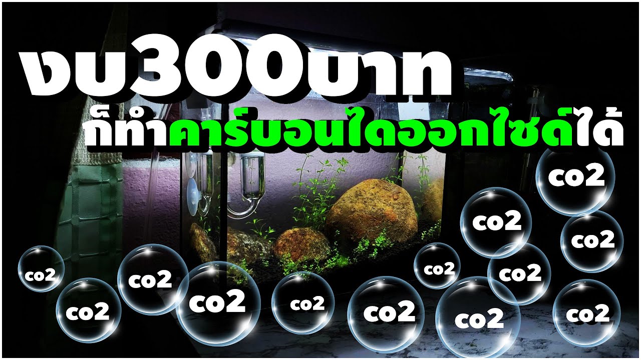 ทำคาร์บอนไดออกไซด์ด้วยงบ300บาท