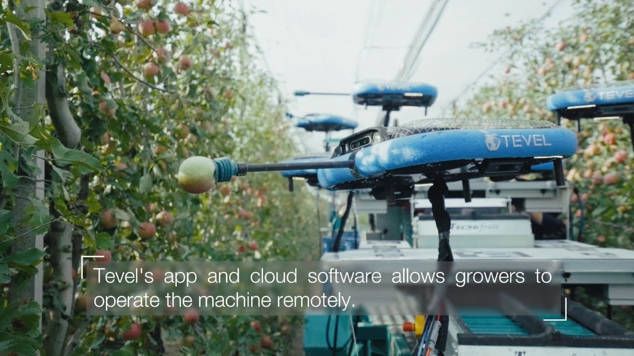 The Robots Are Here: Tevel & Kubota Showcase the Future of Fruit Harvesting