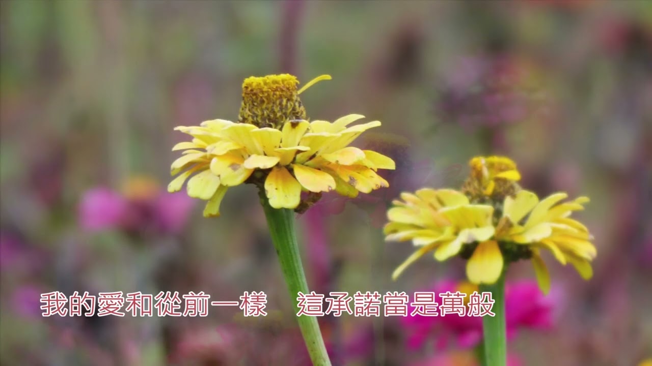 我還是愛你到老-音樂風