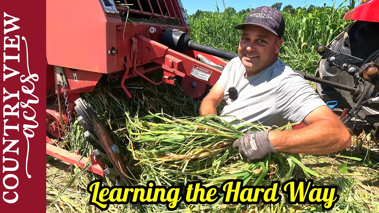 Learning by my mistakes.  Making My First Silage Bales.  Can it be done a small scale?