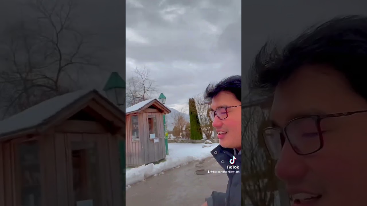 Summer vs Winter in Hallstatt, Austria.  #hallstat #summer2020 #winter2022 #fypシ #stemdrop001