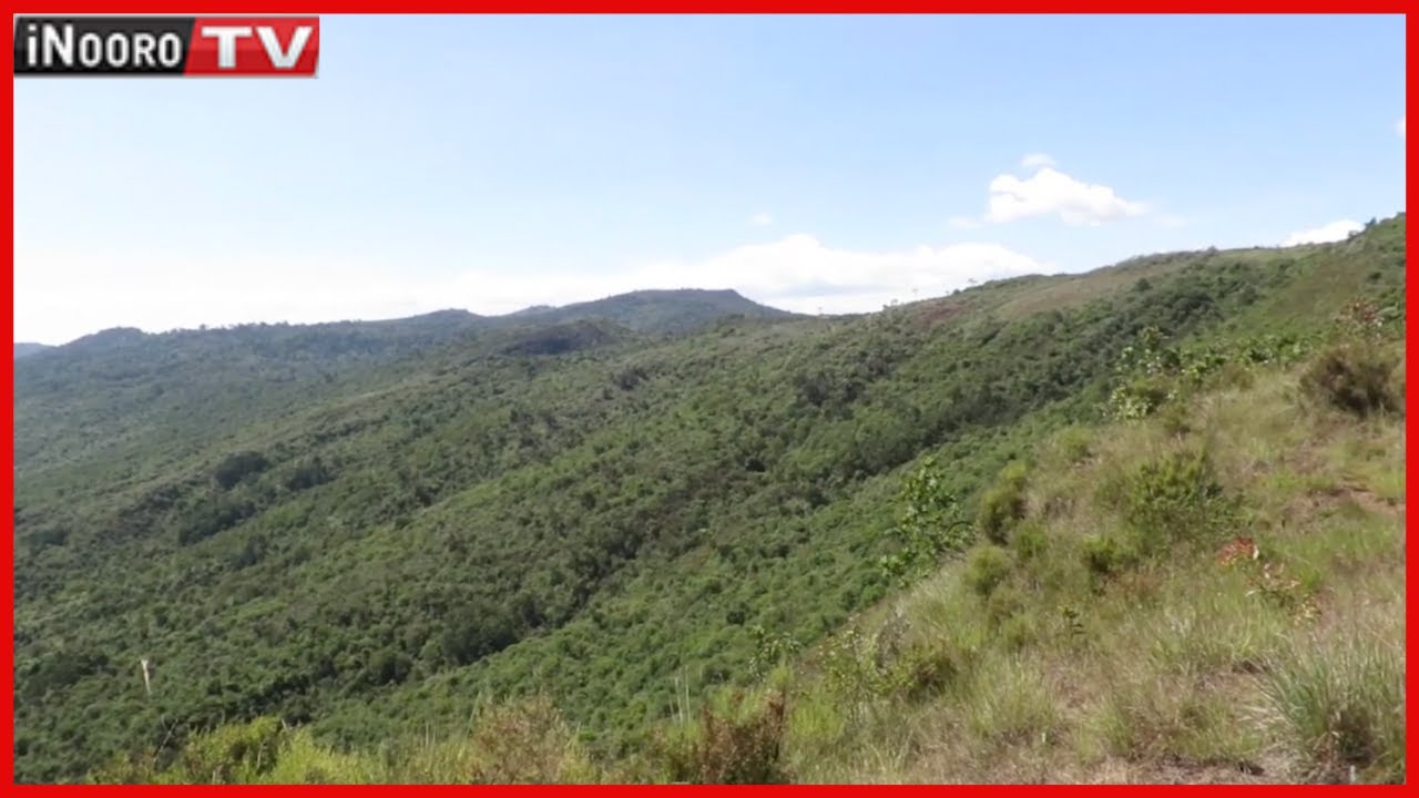 Riri wa mũtitu wa Eburru kũrehe bũthi mĩgũnda-inĩ