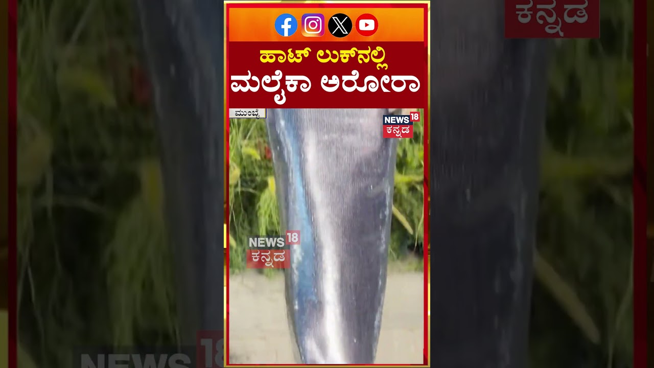 Malaika Arora Hot Look | ಹಾಟ್ ಲುಕ್‌ನಲ್ಲಿ ಮಲೈಕಾ ಅರೋರಾ | N18S