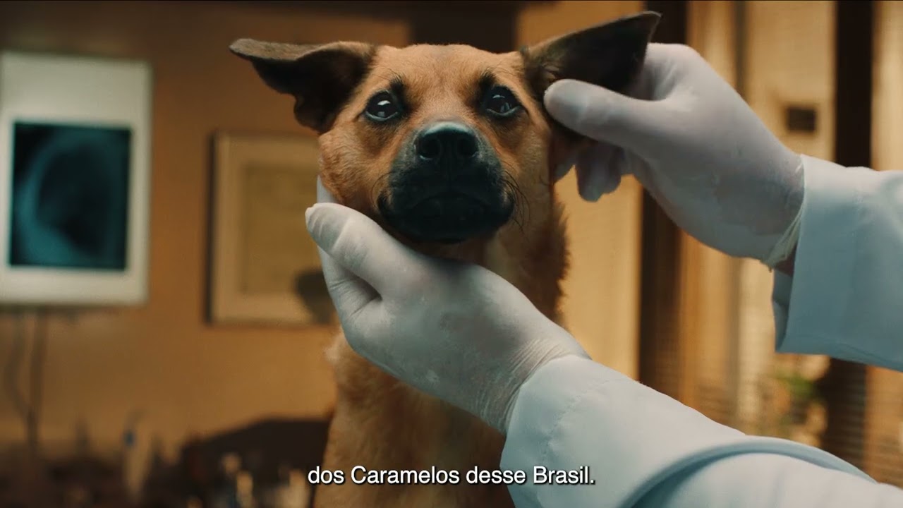 PEDIGREE® | CARAMELO