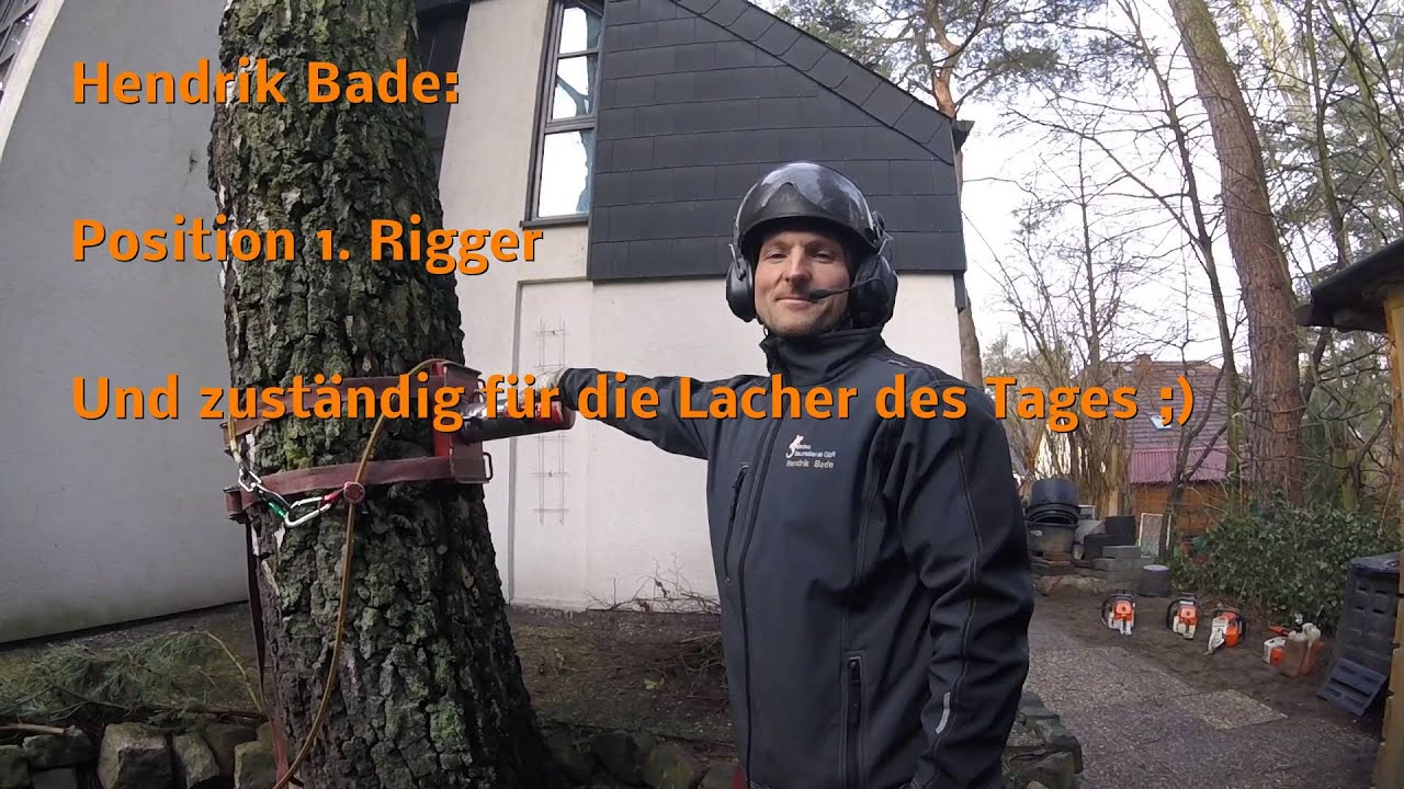 Gefahrenf&auml;llung einer Birke in Seilklettertechnik unter engen bedingungen - Tree felling